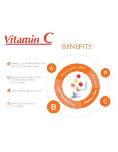 Alfa Vitamins® Vitamina C 1000 mg para soporte...