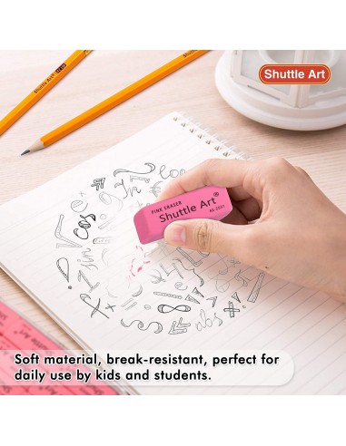 Borrador rosado, Shuttle Art 1