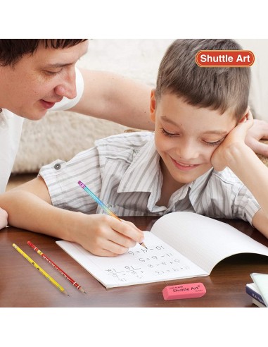 Borrador rosado, Shuttle Art 1