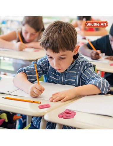 Borrador rosado, Shuttle Art 1