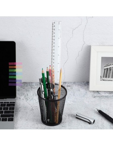 Regla de plástico transparente de 12 pulgadas