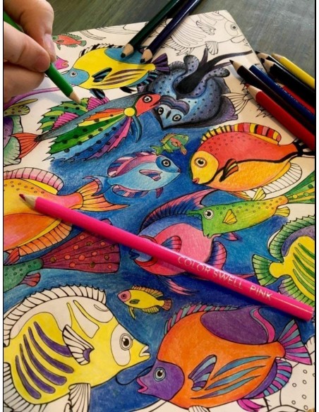 Color Swell Paquetes de lápices de colores , 12 unidades,