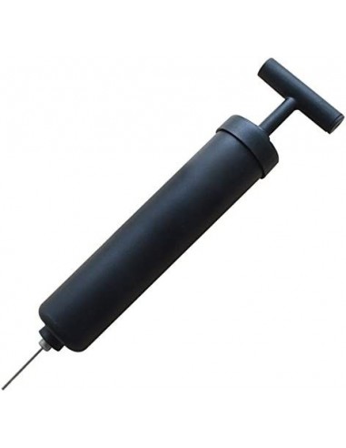 Conjunto de 4 pelotas de deportes con 1 bomba