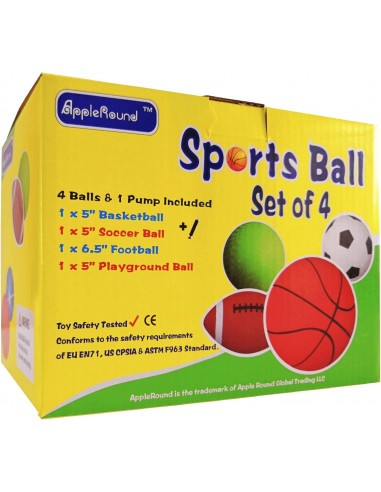 Conjunto de 4 pelotas de deportes con 1 bomba