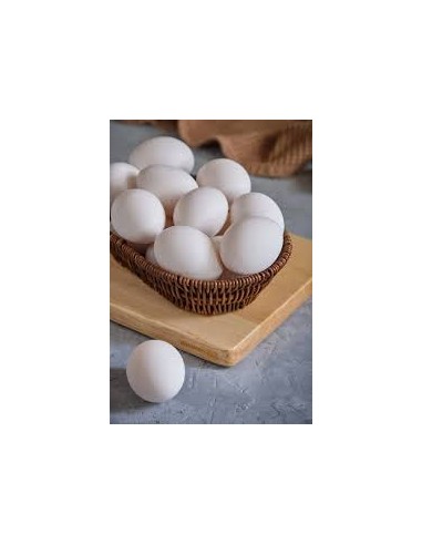 Huevos importados 30 unidades