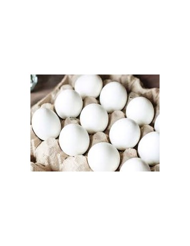 Huevos de granja local 30 unidades