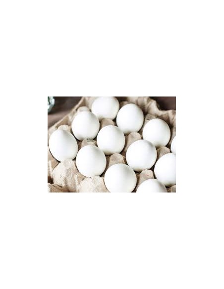 Huevos de granja local 30 unidades