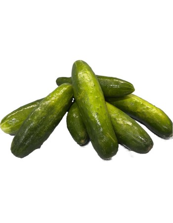 Pepino 5 Lb