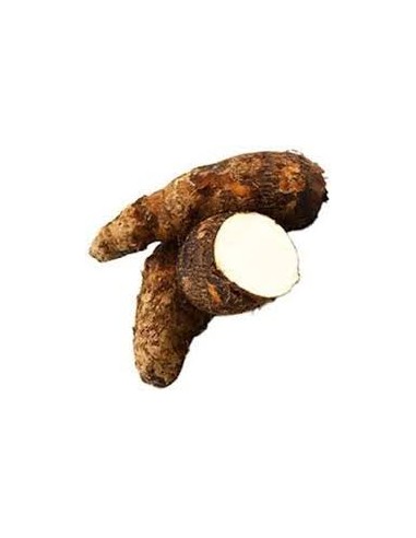 Malanga fresca por encargo 1 lb