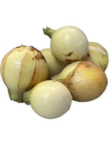 2Lb Cebollas Blanca