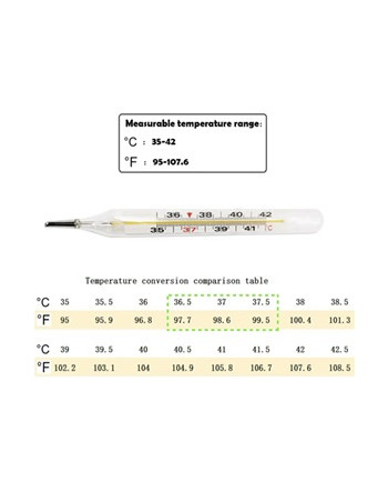 Termómetro De Mercurio 2