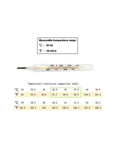Termómetro De Mercurio