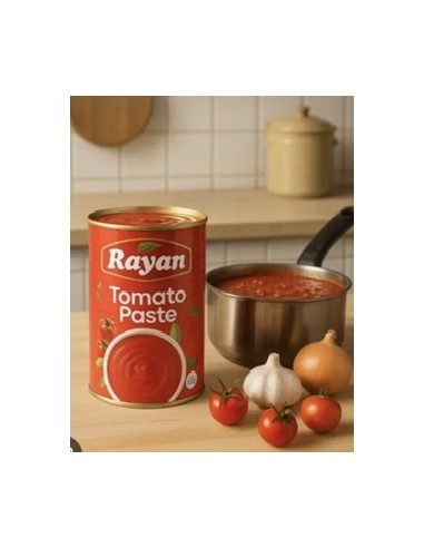 Pasta de tomate Rayan 400g