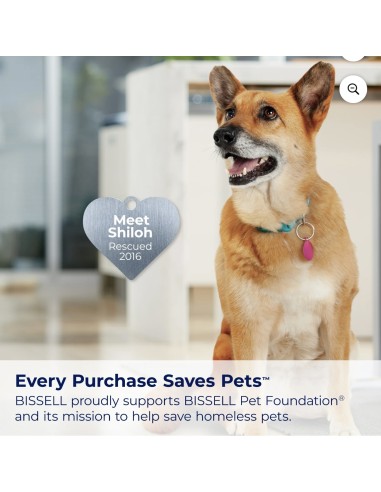 Aspiradora Stick BISSELL Pet Hair Eraser Slim...