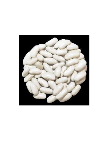 Frijol Blanco POROTO ALUBIA 500G 2