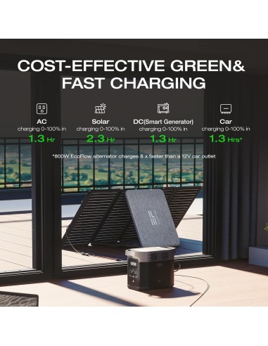EcoFlow DELTA 2 1024 Wh Bateria y Potencia de...