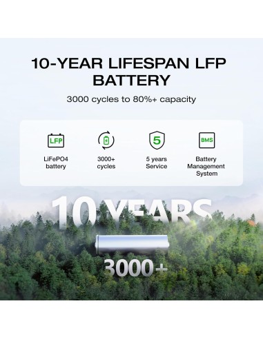 EcoFlow DELTA 2 1024 Wh Bateria y Potencia de...