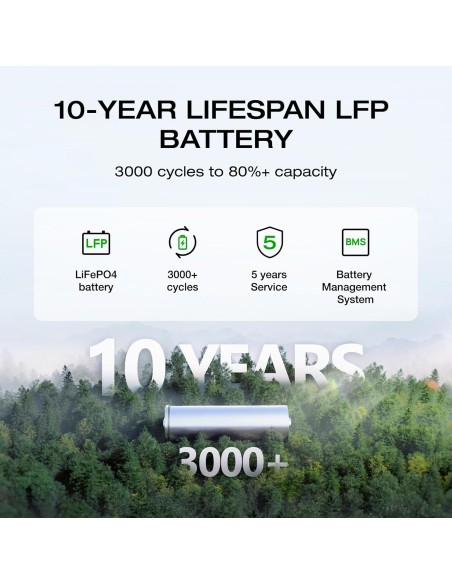 EcoFlow DELTA 2 1024 Wh Bateria y Potencia de salida 1800 W