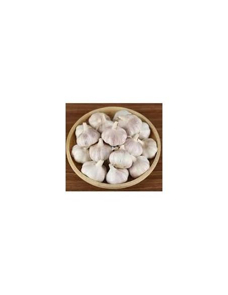 20 cabezas de ajo