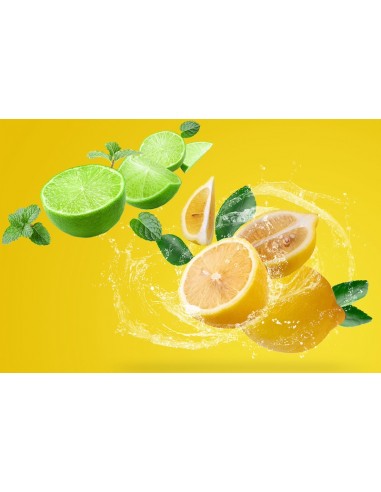 Refresco Limon Tropi Loco 330ml