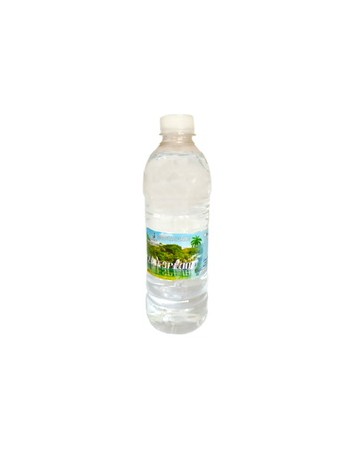 Agua Mineral 500 ml
