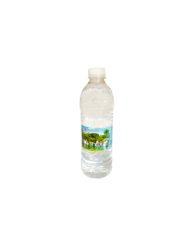 Agua Mineral 500 ml