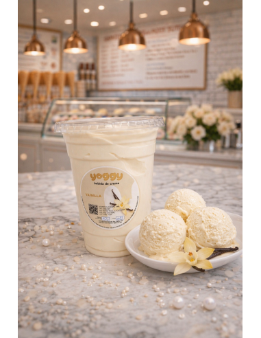 Helado de pote sabor Vainilla 500 ml
