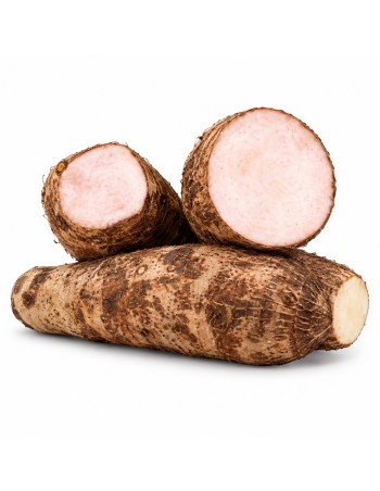 Malanga fresca por encargo 1 lb. Imagen orientativa del producto.